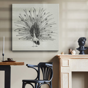 Ebony Plumed Peacock II-Premium Gallery Wrapped Canvas - Ready to Hang