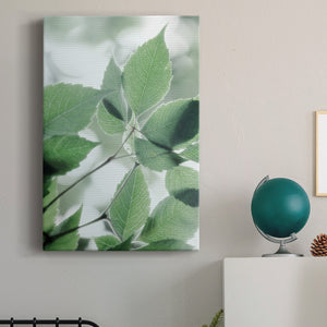 Fields of Green I - Canvas Art Print