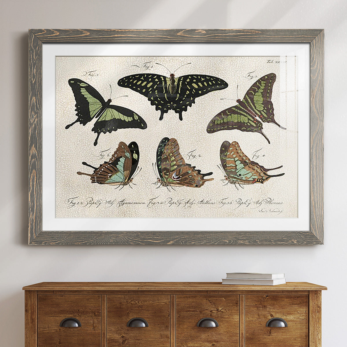 Crackled Butterflies II-Premium Framed Print - Ready to Hang