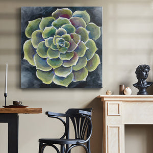 Succulent Rosette II-Premium Gallery Wrapped Canvas - Ready to Hang