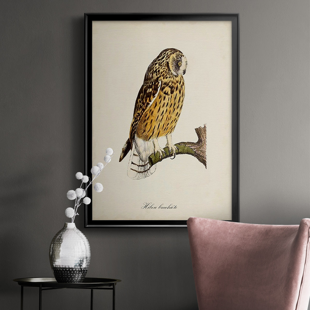 French Owls II Premium Framed Print - Ready to Hang