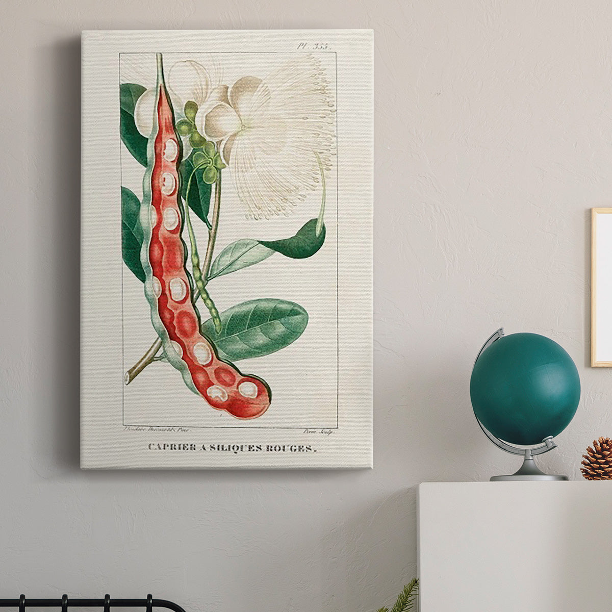 Turpin Tropical Botanicals VIII Premium Gallery Wrapped Canvas - Ready to Hang