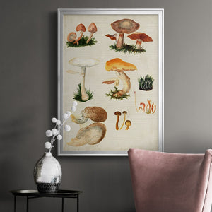 Mushroom Species IV Premium Framed Print - Ready to Hang
