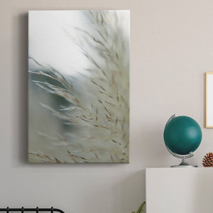 Subtle Grasses II Premium Gallery Wrapped Canvas - Ready to Hang