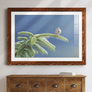 Evergreen Perch-Premium Framed Print - Ready to Hang