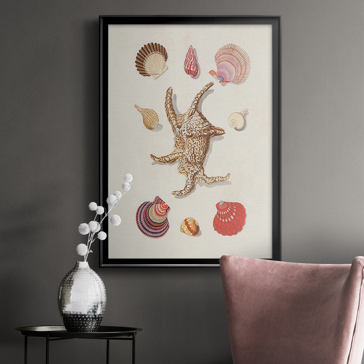 Knorr Shells & Coral II Premium Framed Print - Ready to Hang