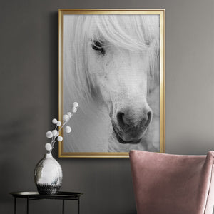 Island Pony I Premium Framed Print - Ready to Hang