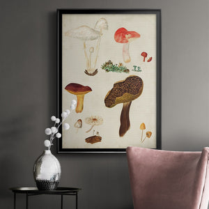 Mushroom Species XI Premium Framed Print - Ready to Hang