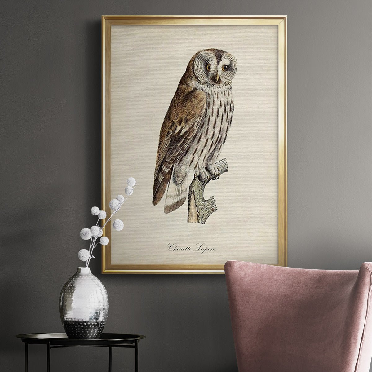 French Owls III Premium Framed Print - Ready to Hang