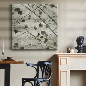 Laced Sky II-Premium Gallery Wrapped Canvas - Ready to Hang