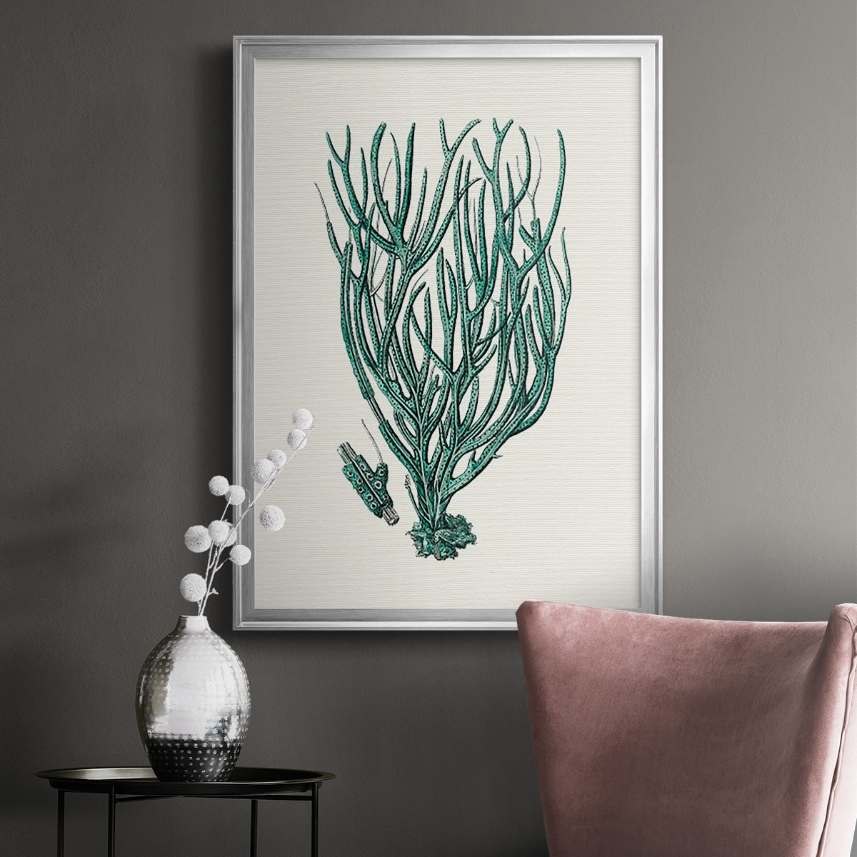 Antique Coastal Coral VIII Premium Framed Print - Ready to Hang