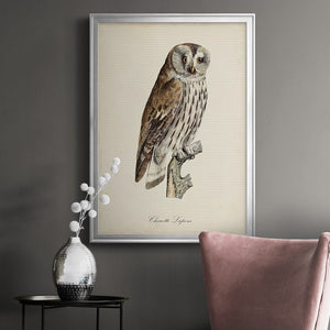 French Owls III Premium Framed Print - Ready to Hang