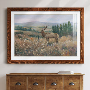 Western Wildlife II-Premium Framed Print - Ready to Hang