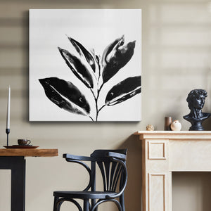 Monochrome Tropic IV-Premium Gallery Wrapped Canvas - Ready to Hang