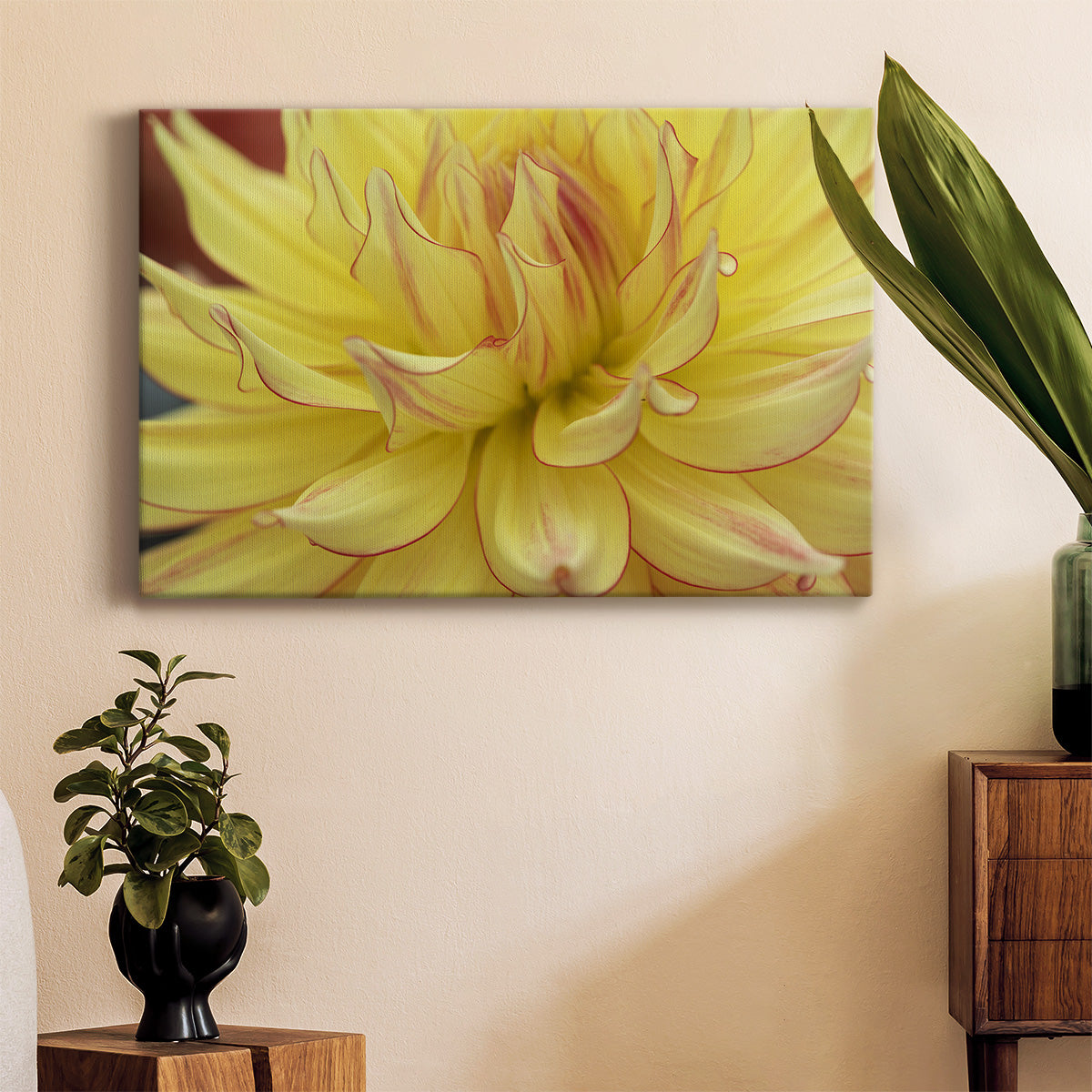 Blooms I Premium Gallery Wrapped Canvas - Ready to Hang