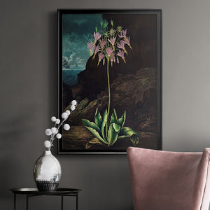 Temple of Flora II Premium Framed Print - Ready to Hang