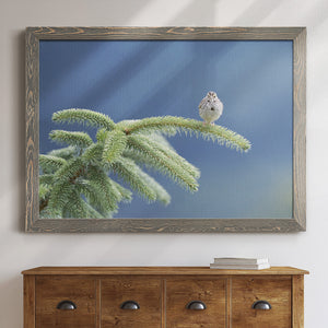 Evergreen Perch-Premium Framed Canvas - Ready to Hang