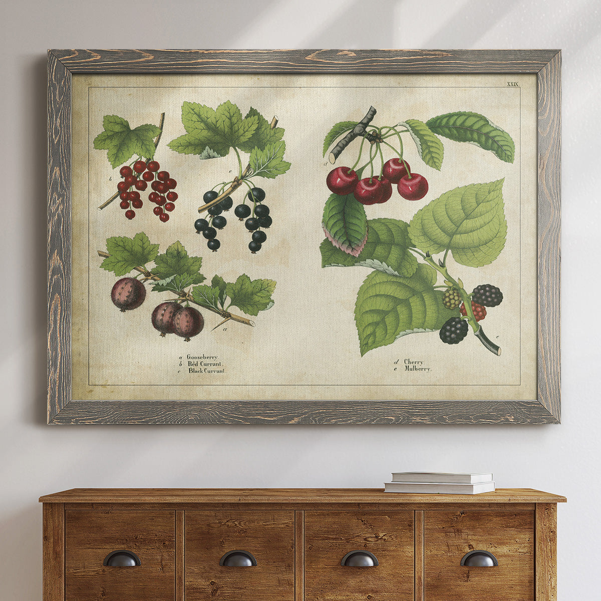 Kitchen Fruits III-Premium Framed Canvas - Ready to Hang