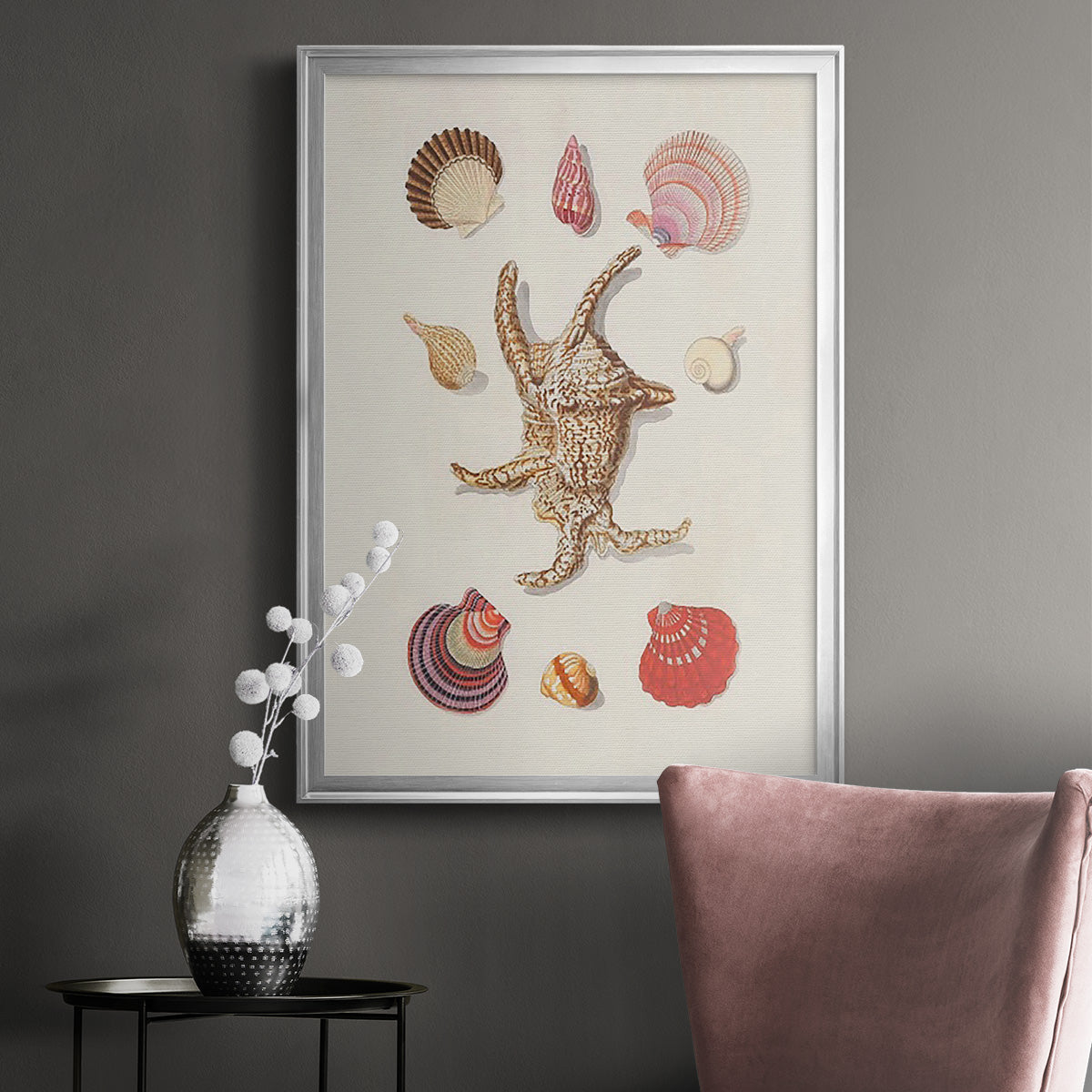 Knorr Shells & Coral II Premium Framed Print - Ready to Hang