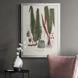 Botanical Society Ferns IV Premium Framed Print - Ready to Hang