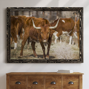 Longhorns-Premium Framed Canvas - Ready to Hang