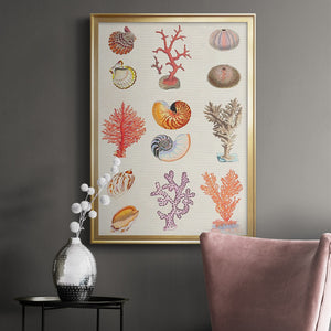 Coral & Shell Collage I Premium Framed Print - Ready to Hang