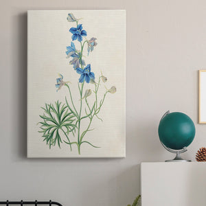 Flowers of the Seasons II Premium Gallery Wrapped Canvas - Ready to Hang
