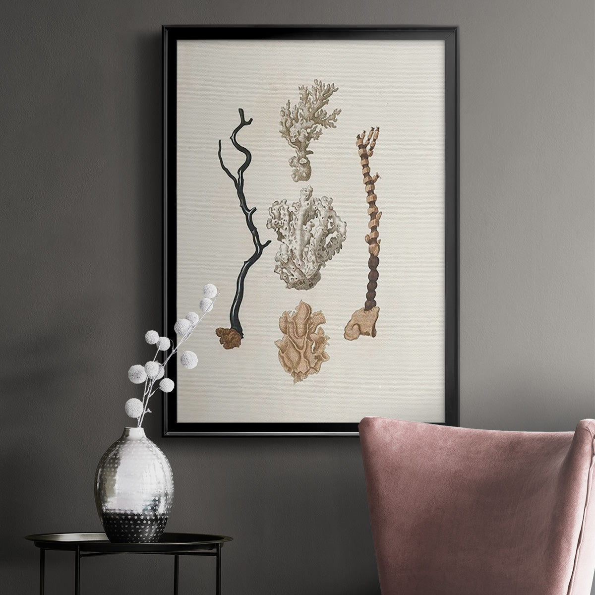 Knorr Shells & Coral V Premium Framed Print - Ready to Hang