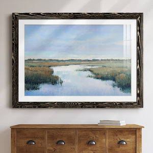Coastal Plains II-Premium Framed Print - Ready to Hang
