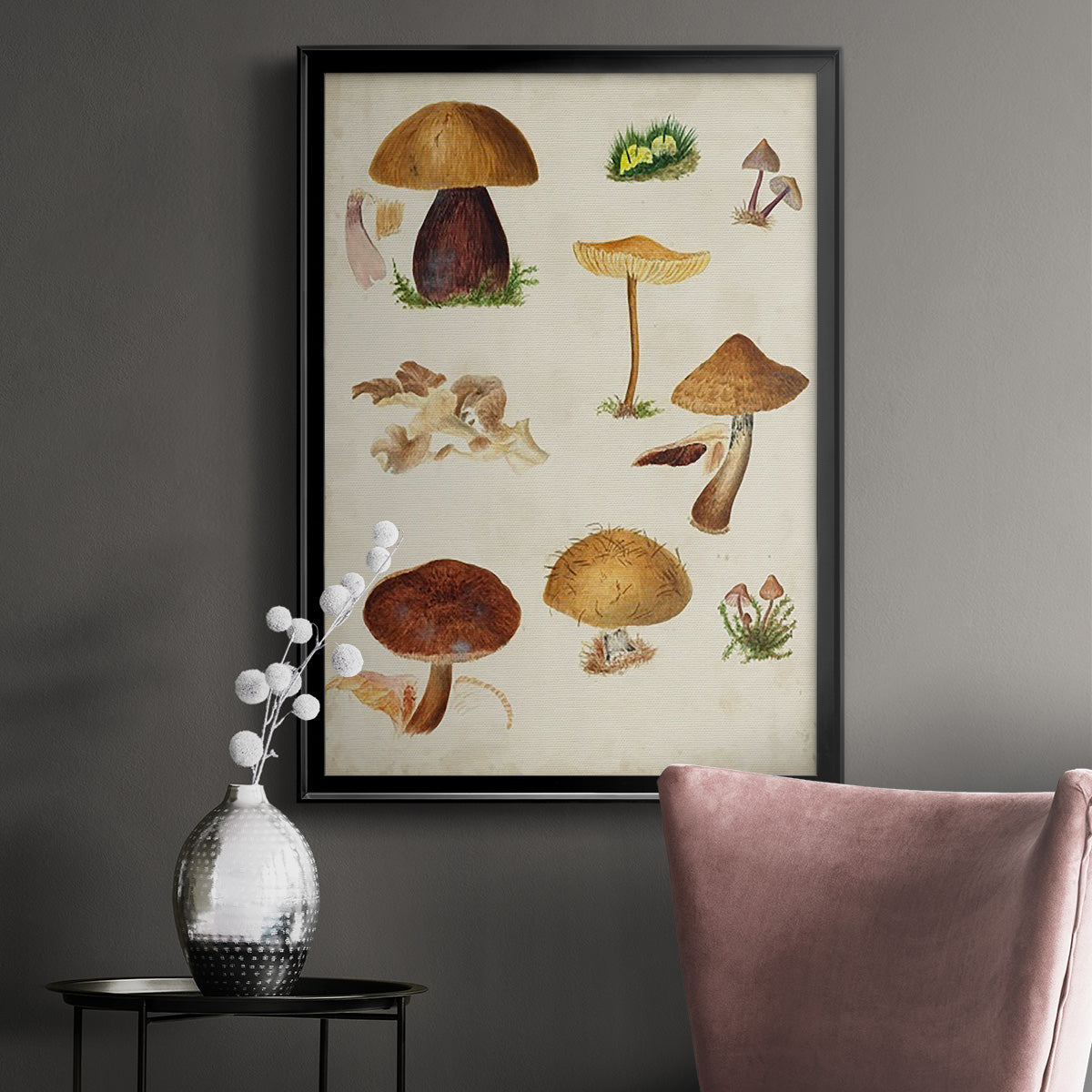 Mushroom Species II Premium Framed Print - Ready to Hang