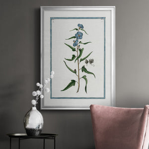 Shabby Chic Botanical I Premium Framed Print - Ready to Hang