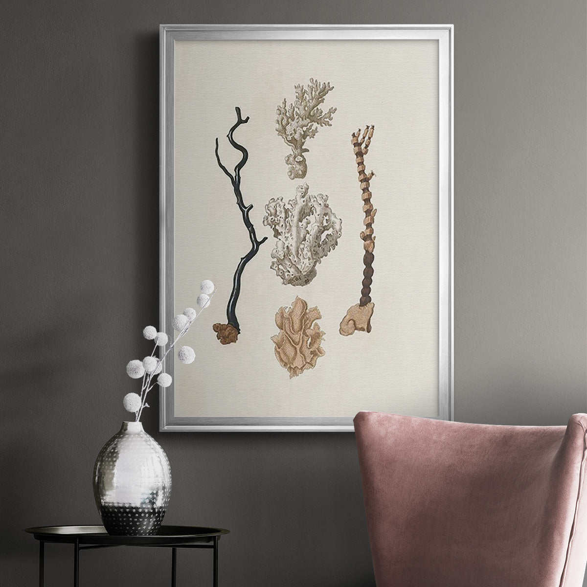 Knorr Shells & Coral V Premium Framed Print - Ready to Hang