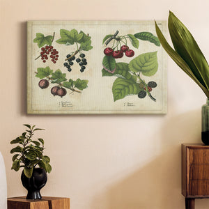 Kitchen Fruits III Premium Gallery Wrapped Canvas - Ready to Hang