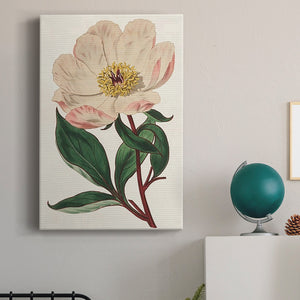 Pink Floral Mix VII Premium Gallery Wrapped Canvas - Ready to Hang