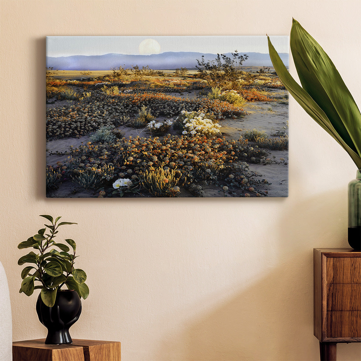 Anza Borrego Desert Premium Gallery Wrapped Canvas - Ready to Hang