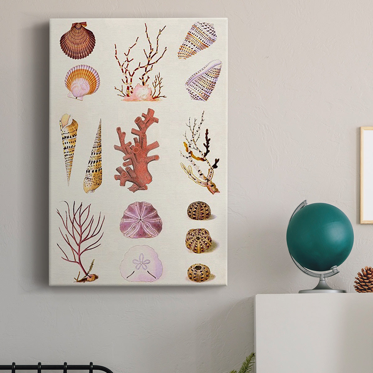 Coral & Shell Collage II Premium Gallery Wrapped Canvas - Ready to Hang