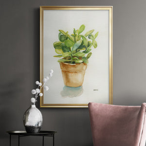 Succulent I Premium Framed Print - Ready to Hang