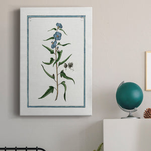 Shabby Chic Botanical I Premium Gallery Wrapped Canvas - Ready to Hang