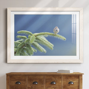 Evergreen Perch-Premium Framed Print - Ready to Hang