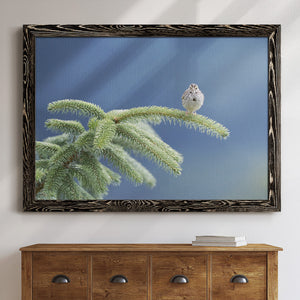 Evergreen Perch-Premium Framed Canvas - Ready to Hang