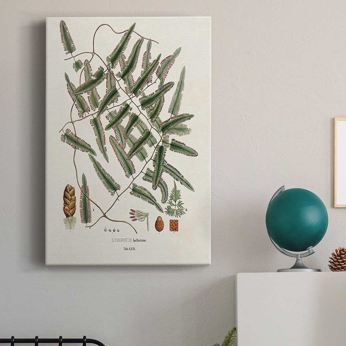 Botanical Society Ferns X Premium Gallery Wrapped Canvas - Ready to Hang