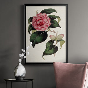 Pink Floral Mix III Premium Framed Print - Ready to Hang