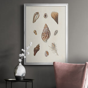 Knorr Shells & Coral IX Premium Framed Print - Ready to Hang