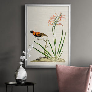 Bird in Habitat III Premium Framed Print - Ready to Hang
