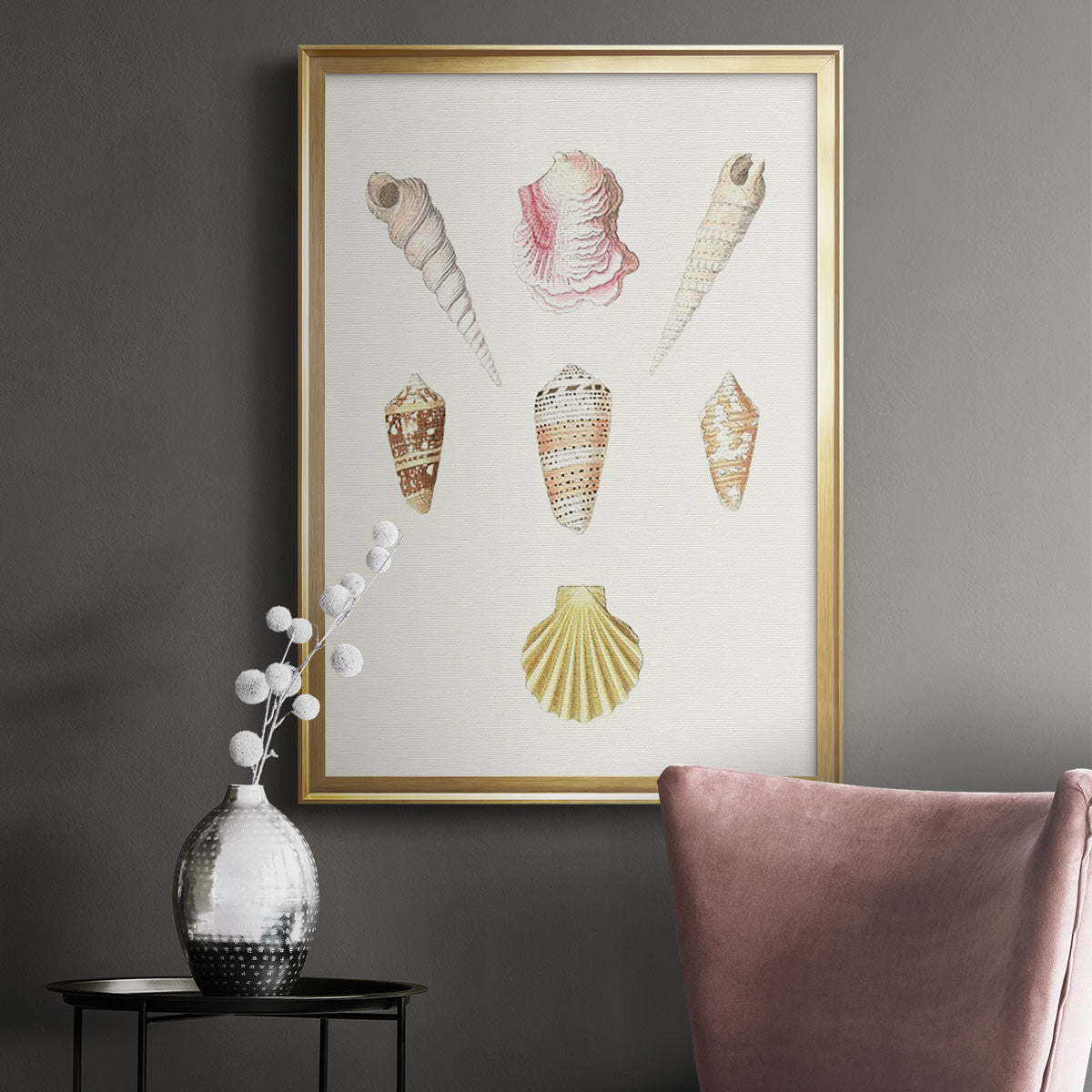 Pastel Knorr Shells I Premium Framed Print - Ready to Hang