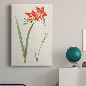 Flowers of the Seasons IV Premium Gallery Wrapped Canvas - Ready to Hang