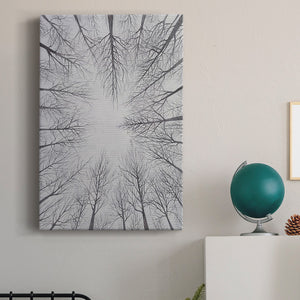 Deciduous Canopy I Premium Gallery Wrapped Canvas - Ready to Hang