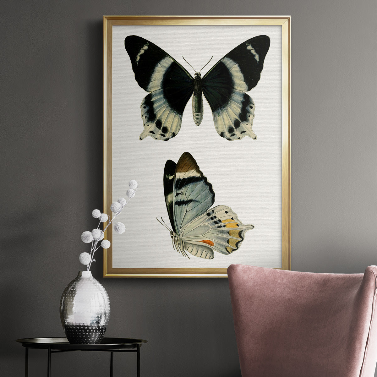 Antique Blue Butterflies I Premium Framed Print - Ready to Hang