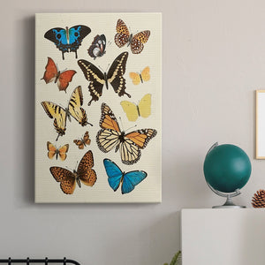 Collected Flutter II - Canvas Art Print