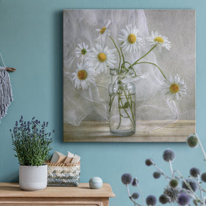 Daisies - Canvas Art Print